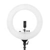 Maizic Smarthome 12