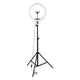 Maizic Smarthome Professional (12 Inch) Led Ring Light with 7 Feet Tripod Stand for Mobile Phones & Camera, 3 Temperature Mode Dimmable Lighting, Photo-Shoot, Video Shoot, Makeup and More