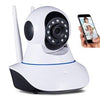 Smart IP Double Antenna  wifi Camera